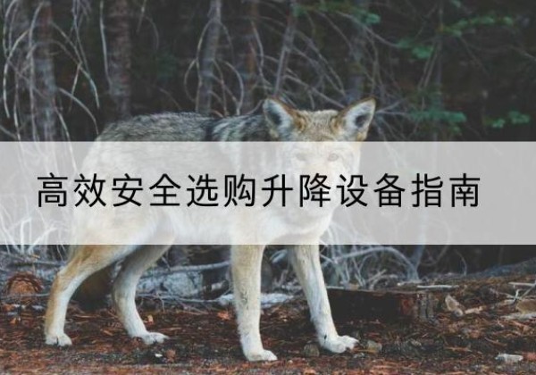 东湖升降货梯厂家推荐-*安全选购升降设备指南