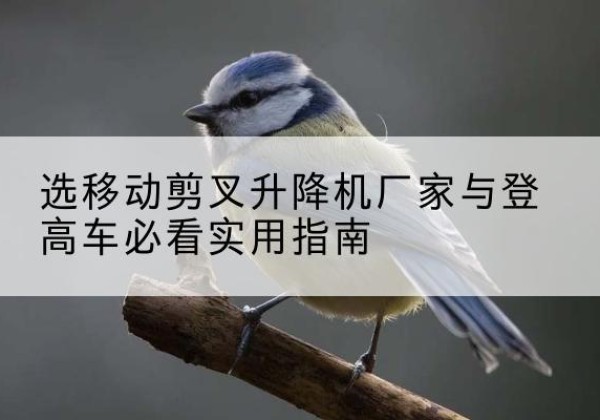 东湖电动升降机厂家-选移动剪叉升降机厂家与登高车必看实用指南