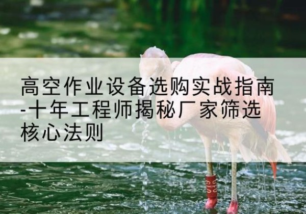 东湖剪叉式升降机厂家-高空作业设备选购实战指南-十年工程师揭秘厂家筛选核心法则